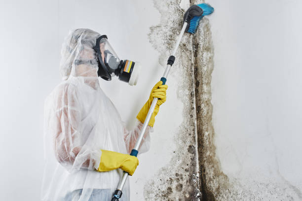 Water Damage Restoration in Seneca, IL
