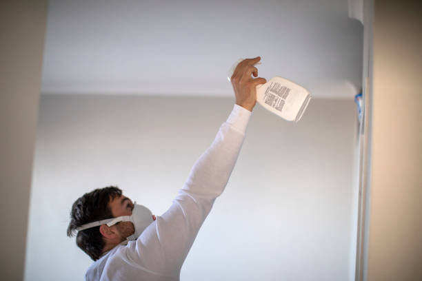Mold Removal and Inspection in Seneca, IL